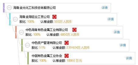 海南金光化工科技咨询服务公司 信息技术咨询服务的专业赋能者