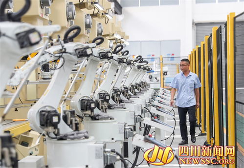 四川广安 以信息技术咨询服务为引擎，构筑新质生产力产业新高地